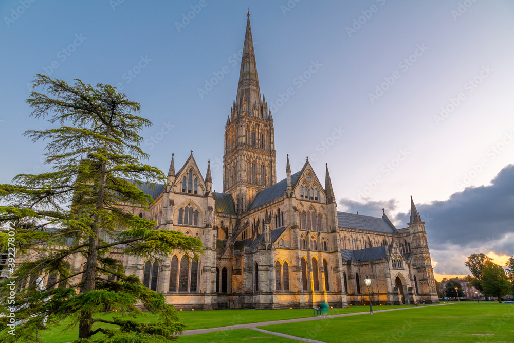AdobeStock_392278072_Preview